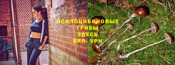 МДПВ Горняк